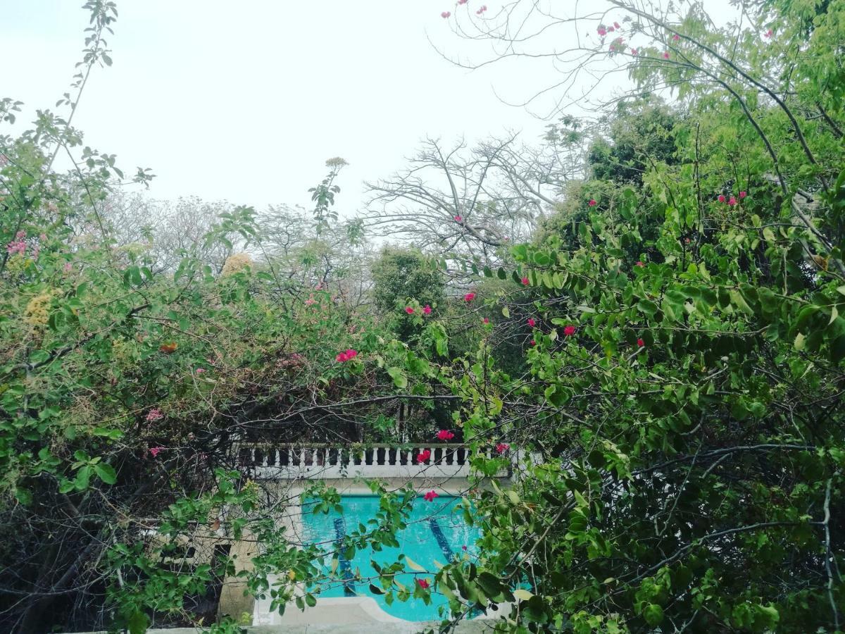 Jardin Etnobotanico Villa Ludovica Santa Marta  Exterior foto