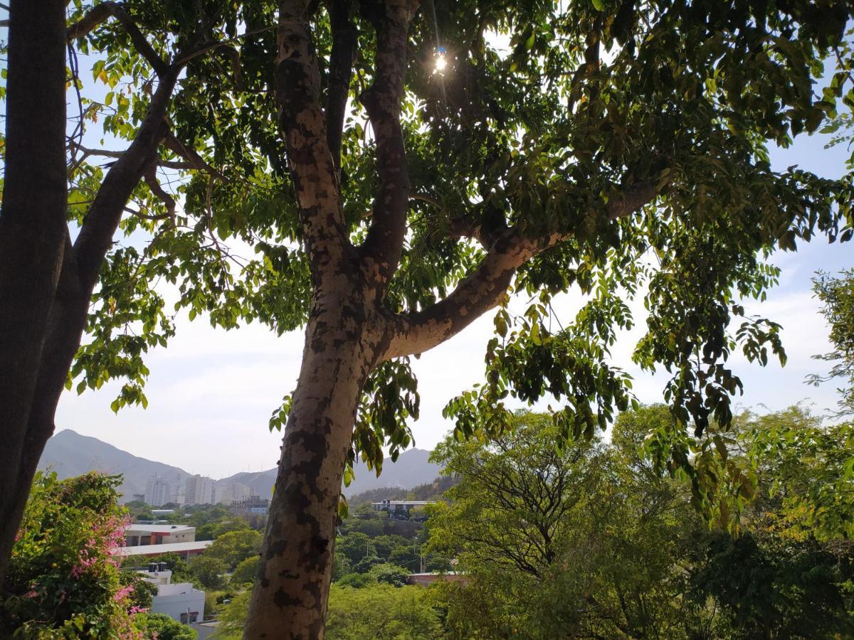 Jardin Etnobotanico Villa Ludovica Santa Marta  Exterior foto