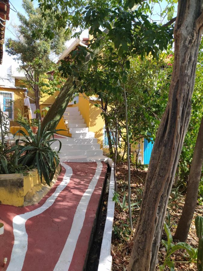 Jardin Etnobotanico Villa Ludovica Santa Marta  Exterior foto
